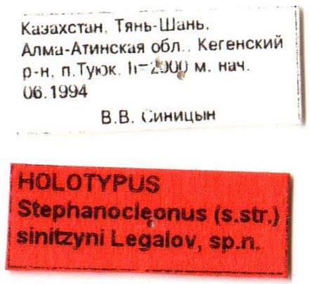 Holotype labels, color image