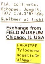 paratype labels, color image