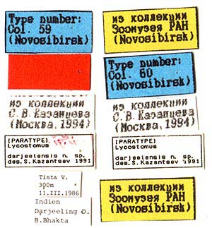 Paratype labels, color image