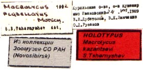 Holotype labels, color image