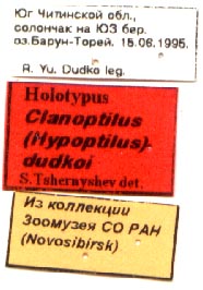 Holotype labels, color image