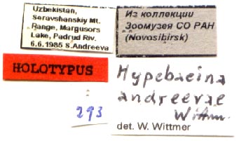 Holotype labels, color image