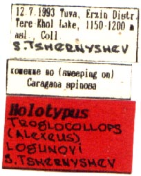 Holotype labels, color image