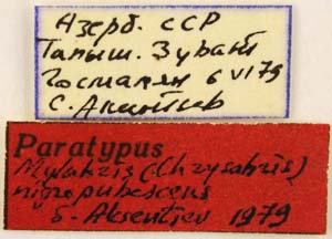 Paratype labels, color image