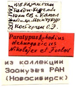 Paratype labels, color image