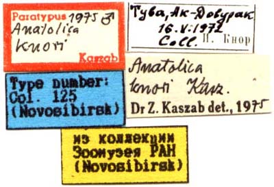 Paratype labels, color image