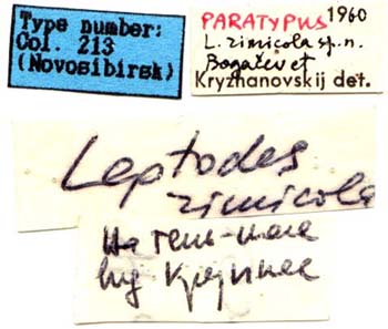 Paratype labels, color image