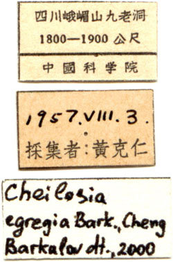 Labels, color image