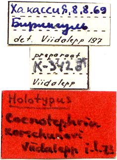 Holotype labels, color image