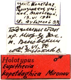 Holotype labels, color image