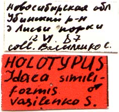 Holotype labels, color image