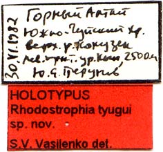 Holotype labels, color image