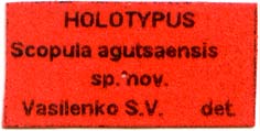 Holotype label, color image