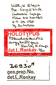 Pseudopseustis argyllostigma holotype labels, color image