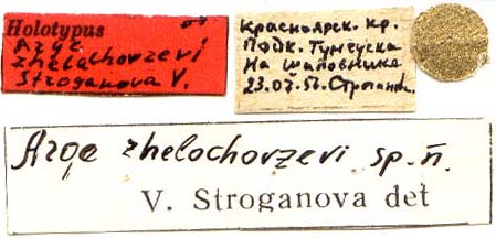 Holotype labels, color image