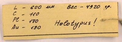 Holotype labels, color image