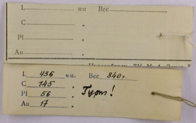 Holotype labels, color image