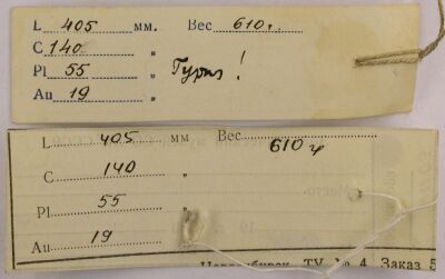 Holotype labels, color image