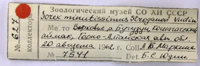 Paratype label, color image