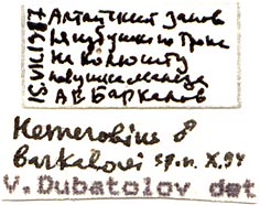 Holotype labels, color image