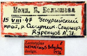 Lectotype labels, color image