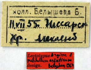 Lectotype labels, color image