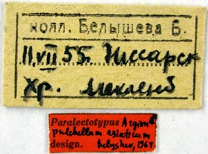 Paralectotype labels, color image