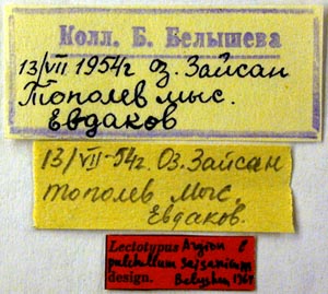 Lectotype labels, color image