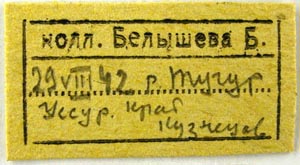 Paratype labels, color image