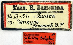 Lectotype labels, color image