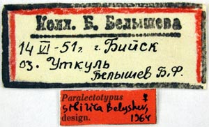 Paralectotype labels, color image