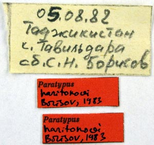 Paratype labels, color image