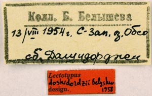 Lectotype labels, color image