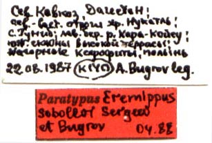 Eremippus sobolevi, paratype labels, color image