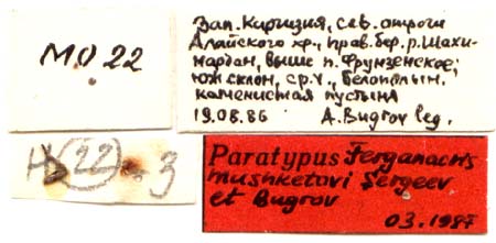 Paratype labels, color image