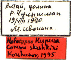 Holotype labels, color image