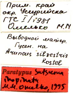 Paratype labels, color image