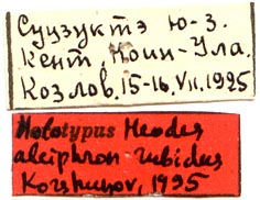 Holotype labels, color image