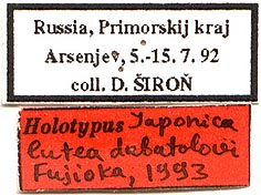 Holotype labels, color image