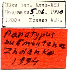 Paratype labels, color image