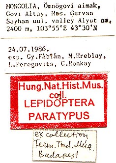 Paratype labels, color image