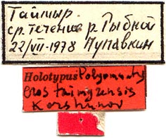 Holotype labels, color image