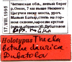 Holotype labels, color image