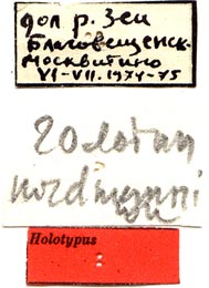 Holotype labels, color image