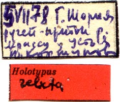 Holotype labels, color image