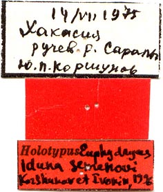 Holotype labels, color image