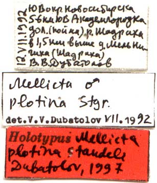 Holotype labels, color image