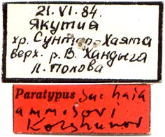 Paratype labels, color image