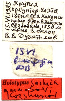 Holotype labels, color image