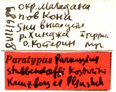 Paratype labels, color image